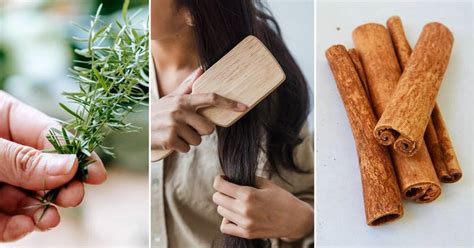 Cómo preparar romero con canela para el cabello y para qué sirve