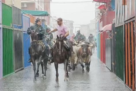 Fiestas Ocio Y Cultura Turismo Xilxes