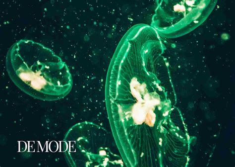 "BIOLUMINESCENCE - THE SCIENCE AND BEAUTY OF NATURAL LIGHT": DE MODE GLOBAL