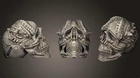 Anatomy Of Skeletons And Skulls Skull X1 Antm1660 3d Stl Model For Cnc