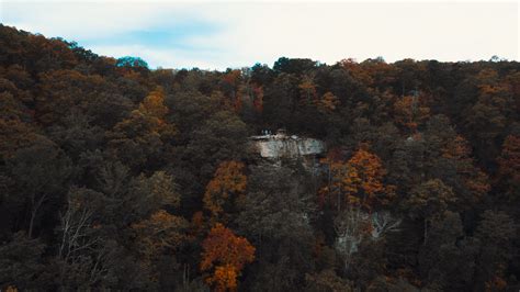 Aerial Photography of Autumn Trees in the Forest · Free Stock Photo