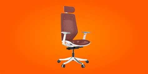 FlexiSpot Ergonomic Office Chair Pro OC14 Review