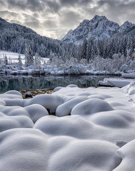 Zelenci Springs Reserve, Slovenia - Stock Image - C052/1349 - Science Photo Library