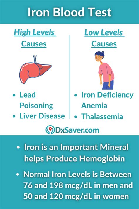 Iron Blood Test Cost just at $28 | Symptoms & Causes of High & Low Iron ...