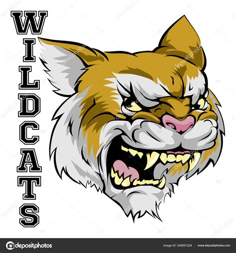 Wildcats Mascot Graphic Stock Vector by ©Krisdog 249591224