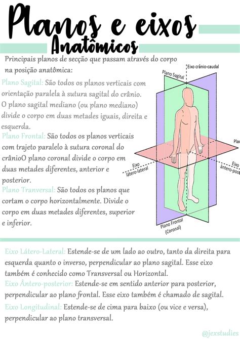 Quais São Os Planos Anatômicos Fdplearn