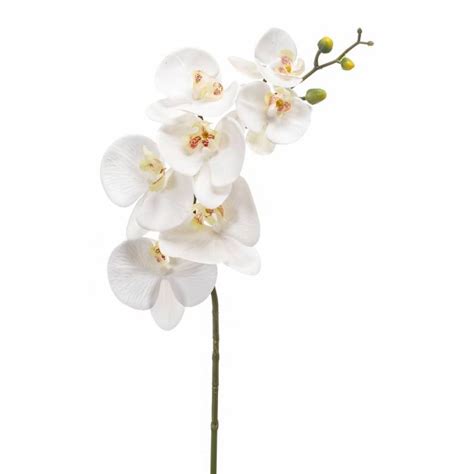 Rama de orquídeas phalaenopsis artificial NEITH blanco 85cm