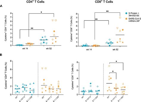 Vaccination Elicits Peripheral Blood T Cell Responses In Infant Rms