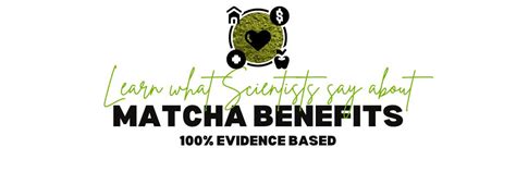 Matcha Benefits: Learn What Scientists say about it – Nio Teas