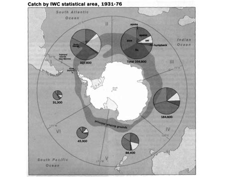 Comparative aspects of the biology of the Arctic and Antarctic marine ecosystems. - ppt download