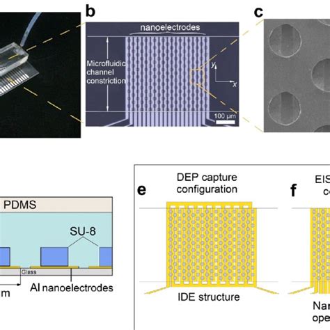 Microfluidic Device Based On A Nanoelectrode Activated Microwell Array