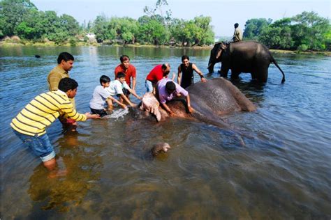 One Day Coorg Sightseeing Trip With Dubare Elephant Camp