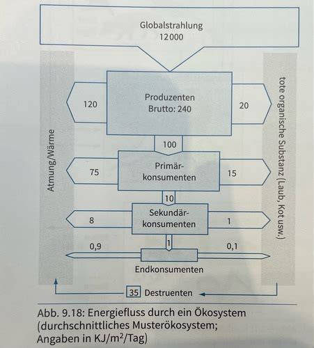 Ökologie Flashcards Quizlet