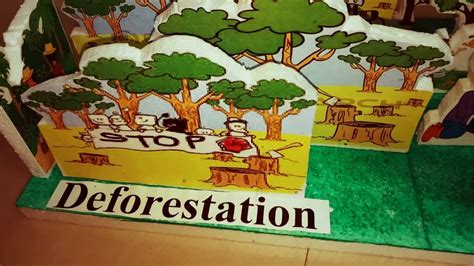 Afforestation And Deforestation Models