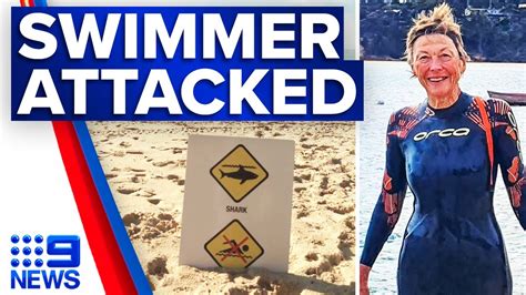 Surf Life Saver Attacked By Shark 9 News Australia