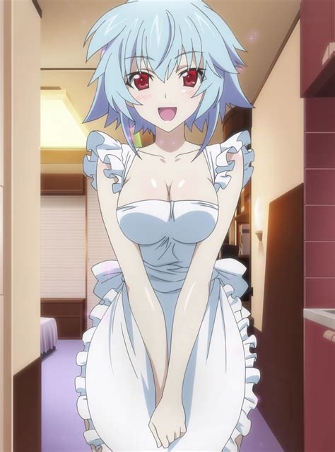 Infinite Stratos 2 Naked Apron Service Anime Sankaku Complex