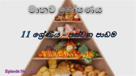 ආහාර පිරමිඩය අධ්‍යනය|Agriculture & Food Technology O/l | video no.48 ...
