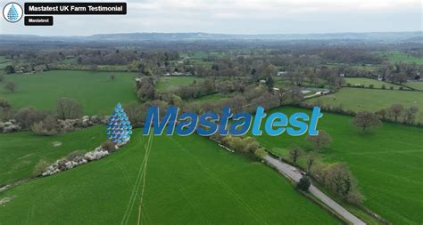 Generation 2 | Mastatest