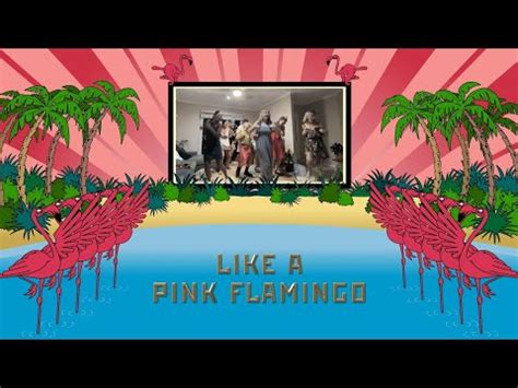 Trollfest Dance Like A Pink Flamingo Radio Edit Lyric Video