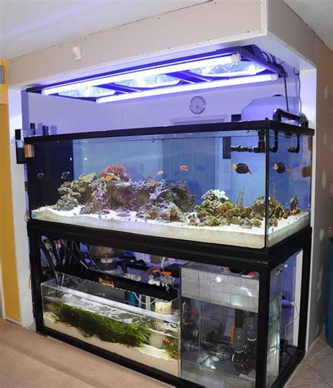 Diy Aquarium Stands For Various Sizes Of Fish Tanks Home And