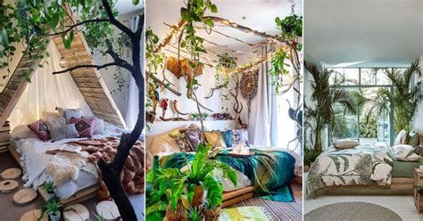 enchanting forest amp star rooms  dream  true