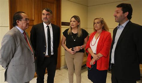 Golpe A Los Republicanos Udi Ingresa Proyecto De Resoluci N Para