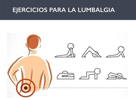 La Lumbalgia Cómo Prevenir Y Tratar El Dolor Ortopedia Para Ti