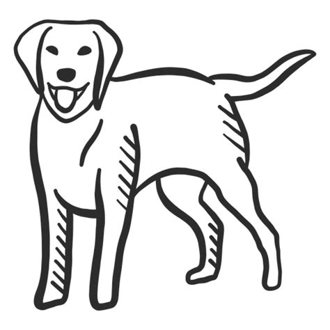 Design Png E Svg De Rabo De Cachorro Cachorro Rabo De Cachorro Rabisco