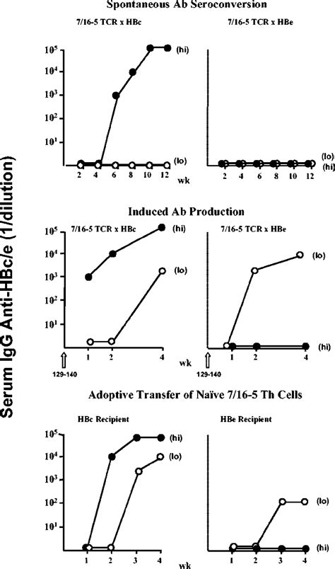 Summary Of Spontaneous Anti Hbc Hbe Antibody Ab Seroconversion And