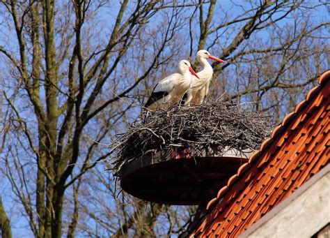 Spring in Poland: weather in March, April, May & June