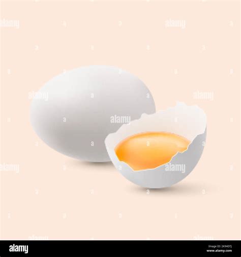 Chicken And Egg Png Hi Res Stock Photography And Images Alamy