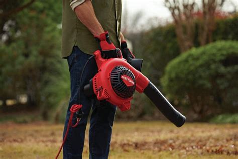 Best Corded Leaf Blowers in the Market | Reviews of 2024 ...