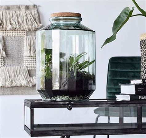 Miniature Gardens: Terrarium Garden Ideas | Garden Patch