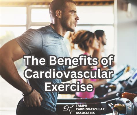 The Benefits Of Cardiovascular Exercise On The Body