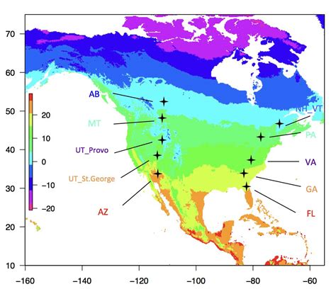 Eastern and Western house mice took parallel evolutionary paths | Berkeley