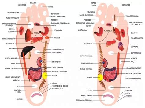 Sabia Que Existe Um Mapa Em Seus Pés Conheça A Reflexologia Podal