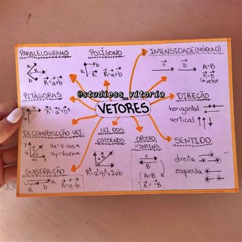 Trabajos Del Cole Mapa Mental Sobre Vectores Images