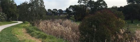 Darebin Creek Trail, Victoria, Australia - 23 Reviews, Map | AllTrails