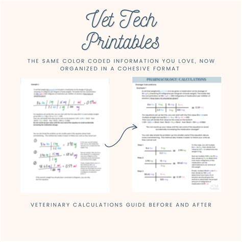 Pharmacology Bundle Vet Tech Study Guides Color Coded Vtne Notes Etsy