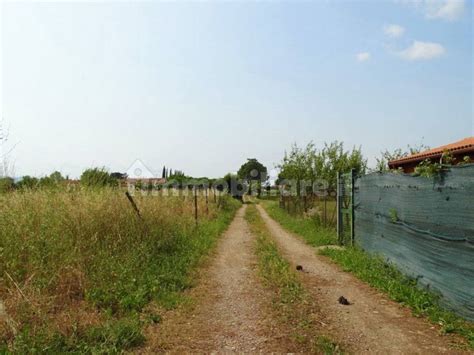 Terreno Agricolo Strada Di San Luigi 10 Grosseto Rif 104351893