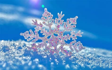 Snowflake Background For, Pink Winter Wonderland HD wallpaper | Pxfuel