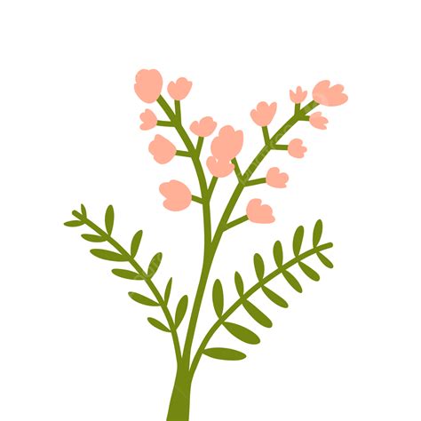 Simple Pink Floral Baby Breath Baby Breath Cartoon Baby PNG