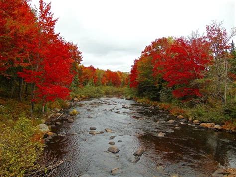 Adirondack Fall Foliage: Mountains Enveloped in Fall Colors