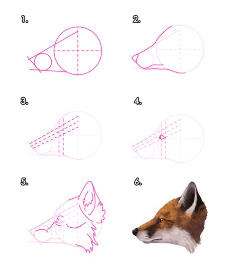 How To Draw A Fox Face at How To Draw