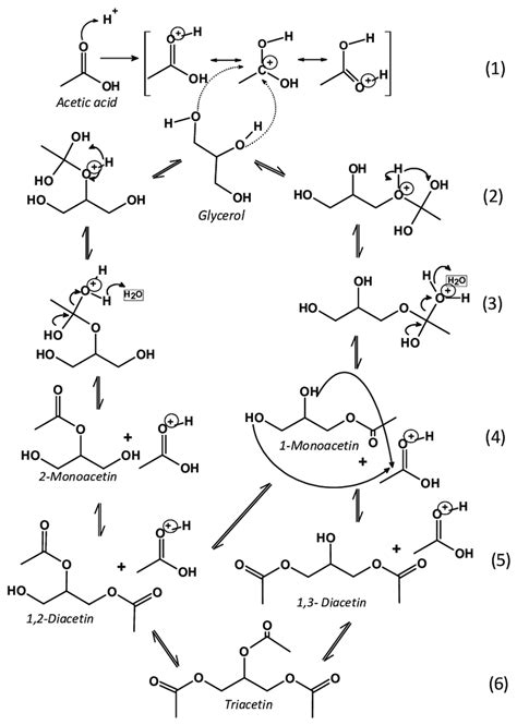 Illustration Of The Proposed Mechanism For Glycerol Esterification With