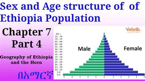 Age And Sex Structure Of Ethiopia Geography Of Ethiopia And The Horn Chapter 7 Part 4 Youtube