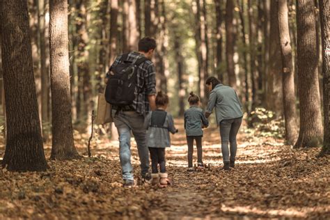 Droit Forêt ce que vous pouvez ou pas faire en balade