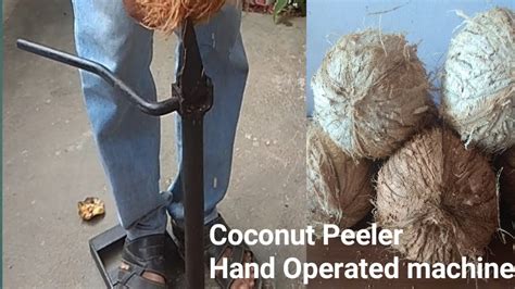 Hand Operated Coconut Peeler Or Coconut Dehusker Coconut Peeling