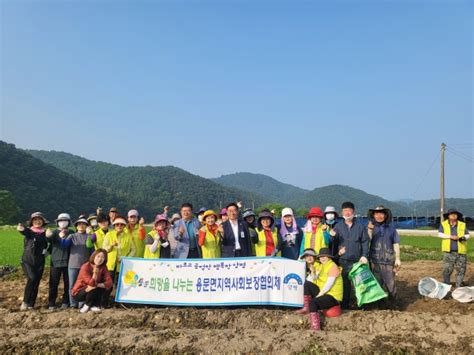 양평군 용문면지역사회보장협의체 지난 21일 ‘사랑 나눔 농장 감자 수확 실시 경인매일 세력에 타협하지 않는 신문