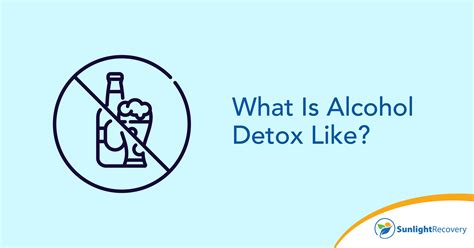 What Drinks Have the Highest Alcohol Content? - Sunlight Recovery